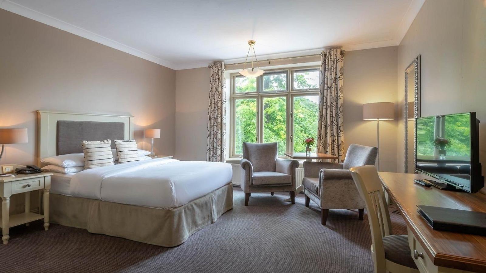 Double Room,662202963:JPEG